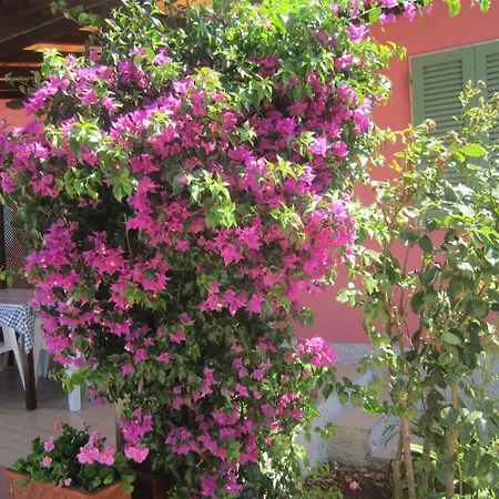 In Mit Schoenem Garten Daire *