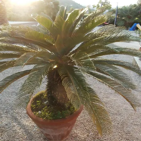 Mit Wasserblick Lägenhet
